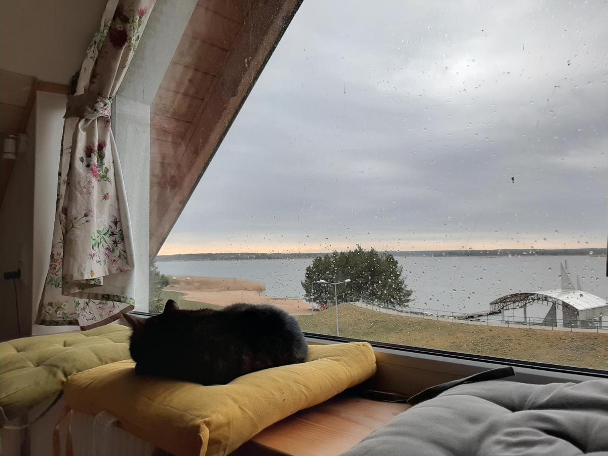 Apartamento Zubr Nad Zalewem Luka Exterior foto